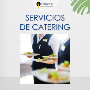 Servicio de Mozo y Bartender